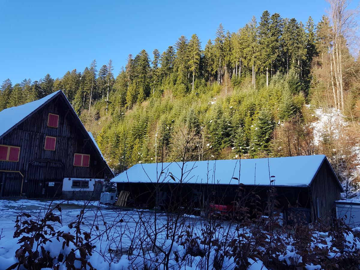 Gut Lauterbad Hotel 프로이덴슈타트 외부 사진