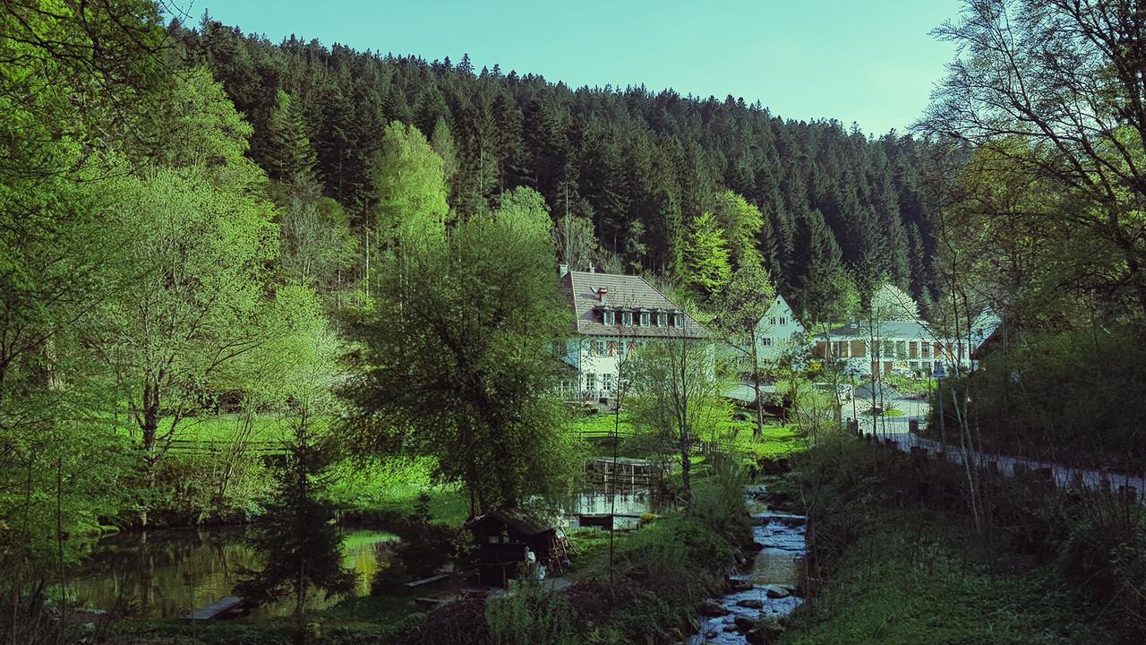 Gut Lauterbad Hotel 프로이덴슈타트 외부 사진